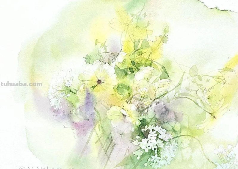 日本著名水彩花卉画家中村爱：三思而后行