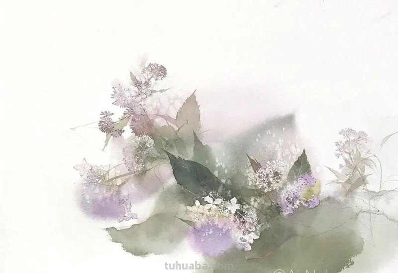 日本著名水彩花卉画家中村爱：三思而后行
