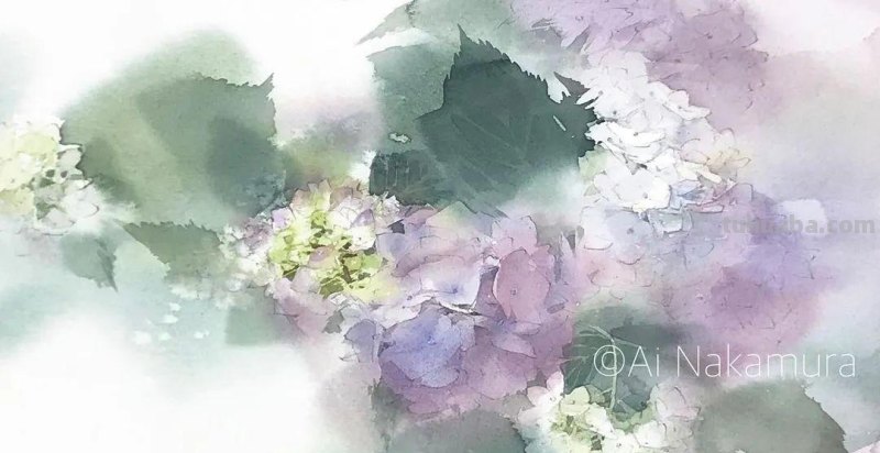 日本著名水彩花卉画家中村爱：三思而后行
