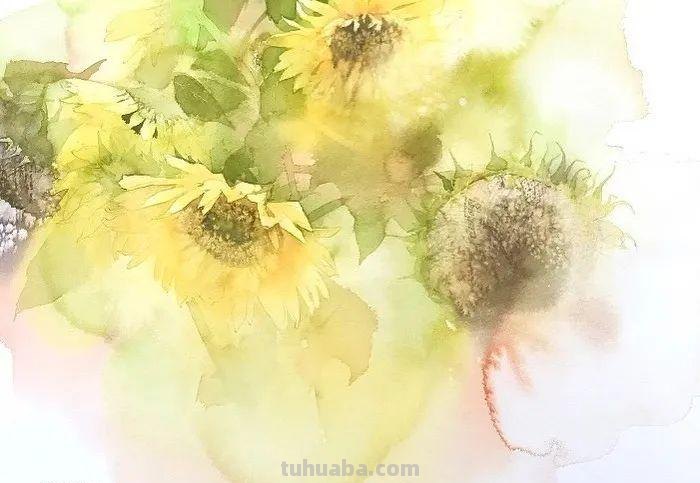 日本著名水彩花卉画家中村爱：三思而后行