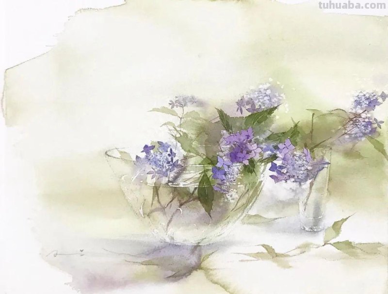 日本著名水彩花卉画家中村爱：三思而后行