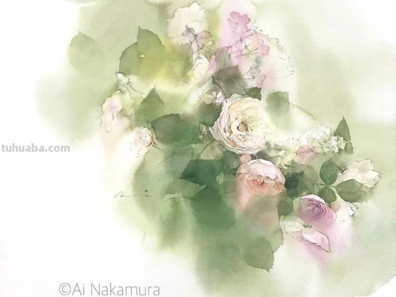日本著名水彩花卉画家中村爱：三思而后行