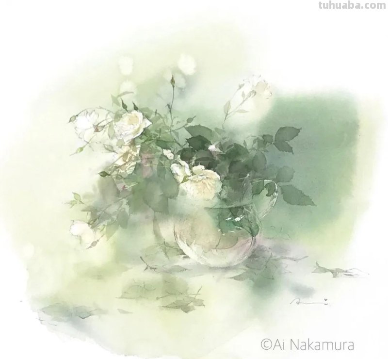 日本著名水彩花卉画家中村爱：三思而后行