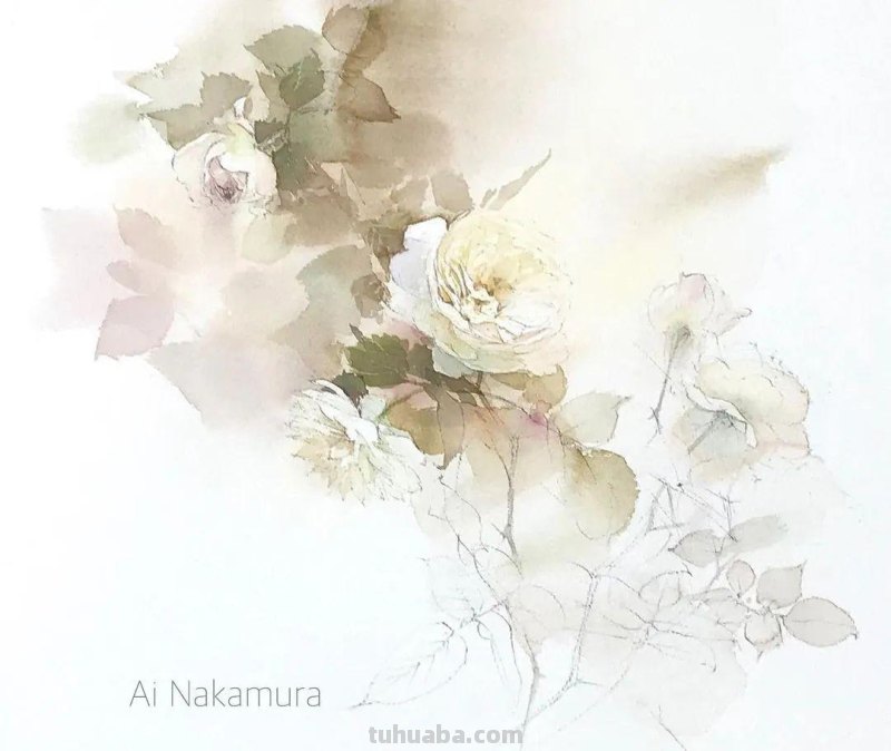 日本著名水彩花卉画家中村爱：三思而后行