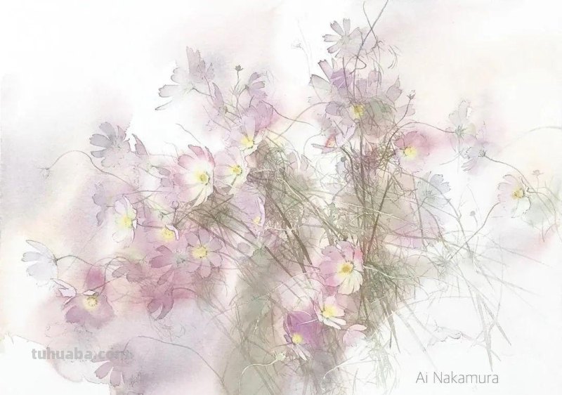 日本著名水彩花卉画家中村爱：三思而后行