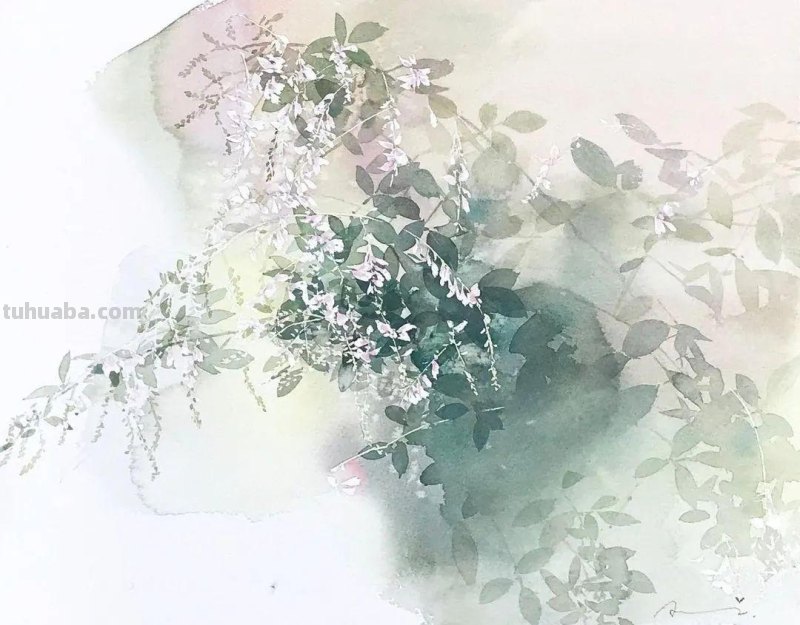 日本著名水彩花卉画家中村爱：三思而后行