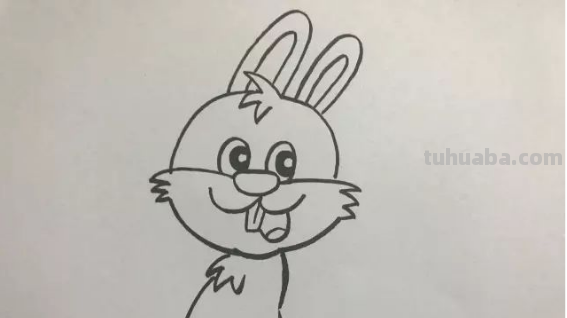 怎么画兔子简笔画 怎么画兔子简笔画