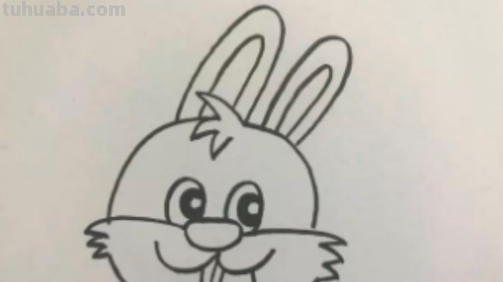 怎么画兔子简笔画 怎么画兔子简笔画