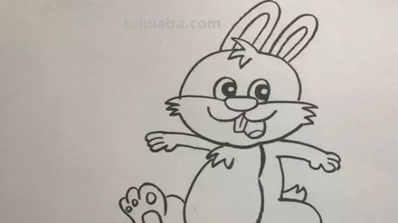 怎么画兔子简笔画 怎么画兔子简笔画
