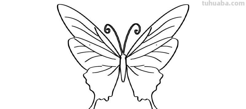 蝴蝶简笔画教程 蝴蝶简笔画教程视频