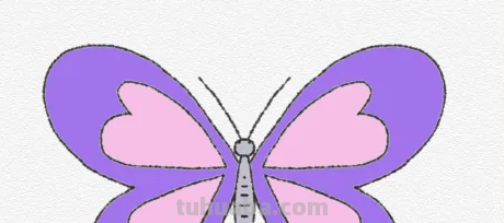 怎么画蝴蝶简笔画 怎么画蝴蝶简笔画
