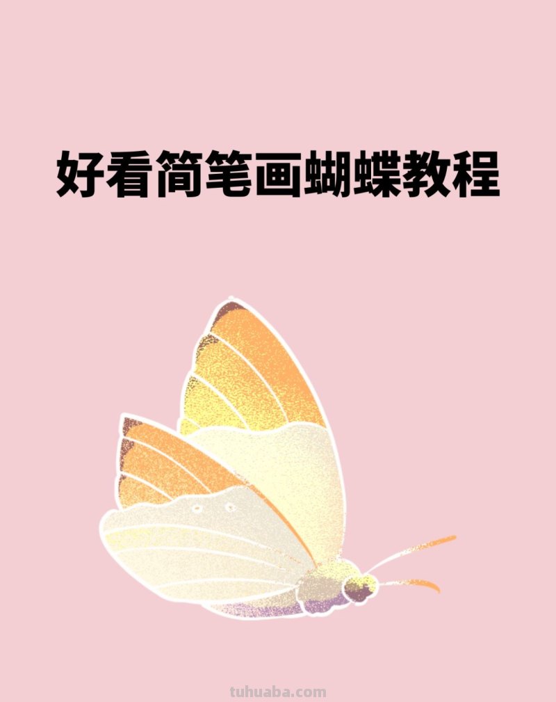 好看简笔画蝴蝶教程 好看简笔画蝴蝶教程