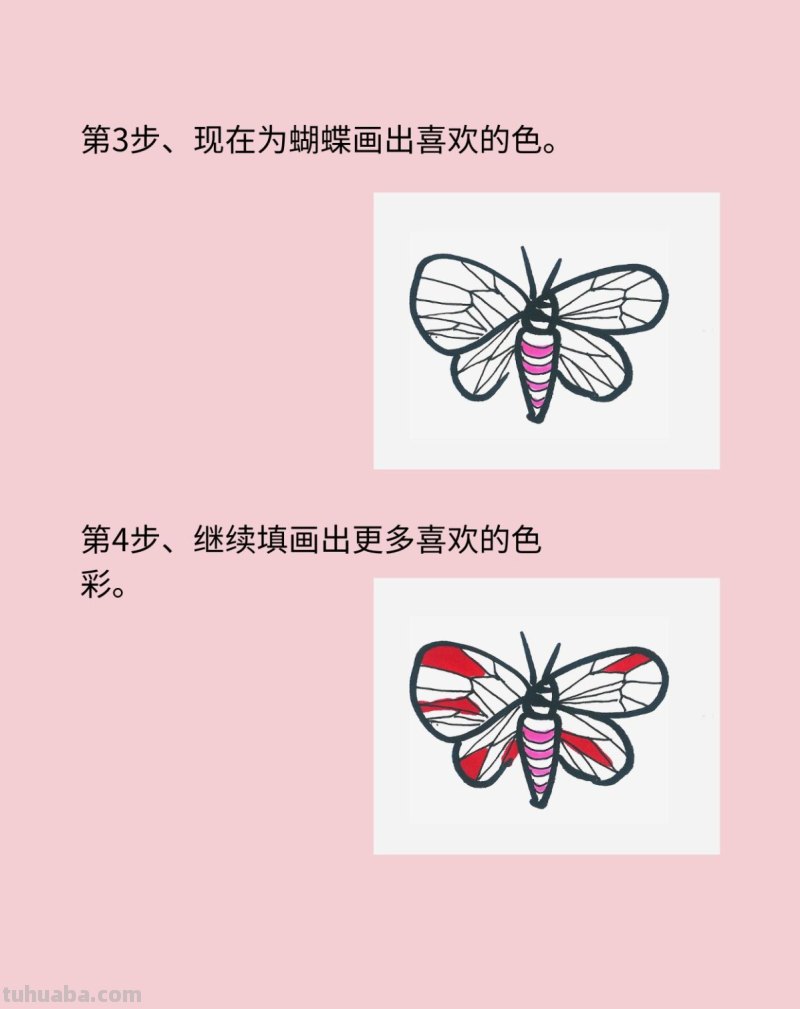 好看简笔画蝴蝶教程 好看简笔画蝴蝶教程