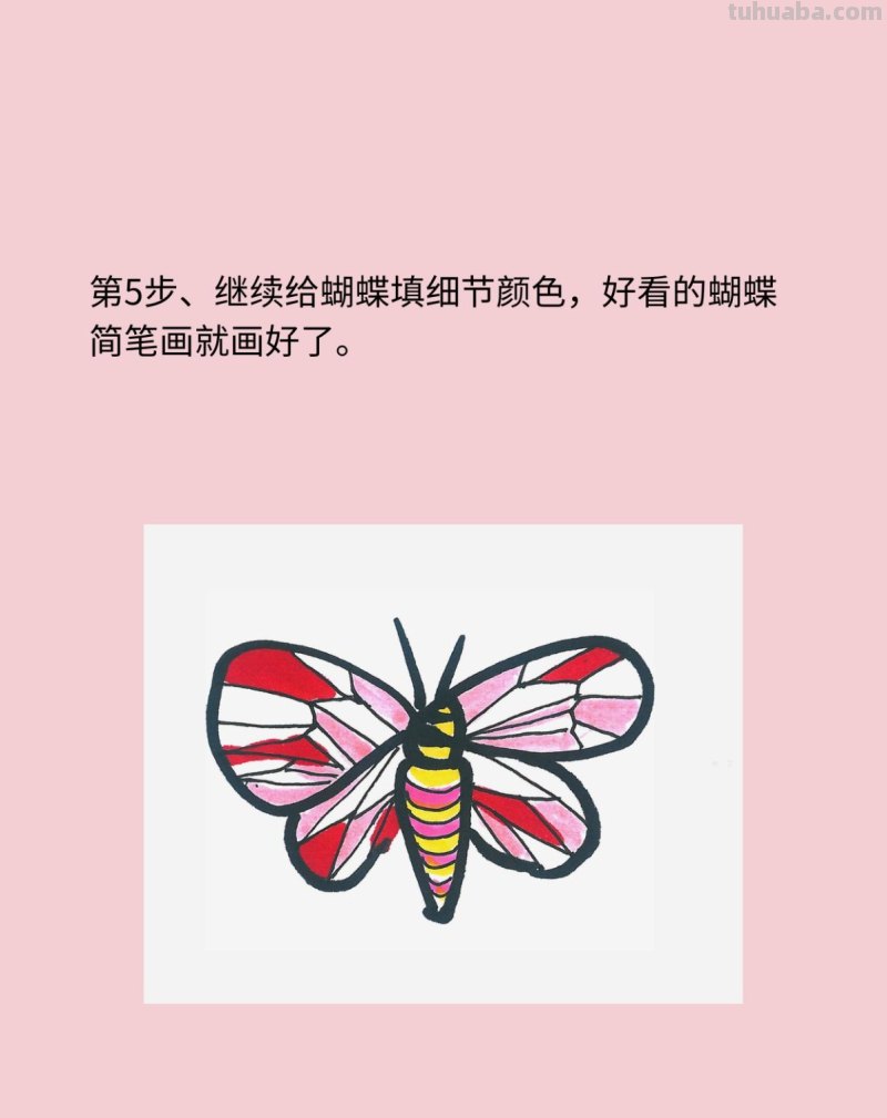 好看简笔画蝴蝶教程 好看简笔画蝴蝶教程