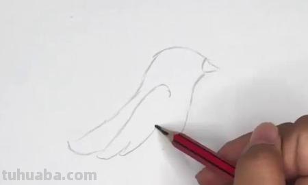 黄鹂怎么画简笔画 两个黄鹂鸣翠柳一行白鹭上青天怎么配画? 黄鹂怎么画简笔画 两个黄鹂鸣翠柳一行白鹭上青天怎么配画?