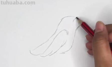 黄鹂怎么画简笔画 两个黄鹂鸣翠柳一行白鹭上青天怎么配画? 黄鹂怎么画简笔画 两个黄鹂鸣翠柳一行白鹭上青天怎么配画?