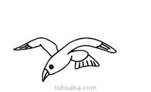 海鸟怎么画简笔画 怎样画鸟【简笔画】?