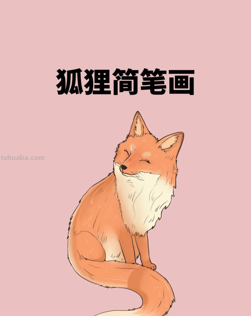 狐狸简笔画 狐狸简笔画