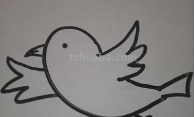 海鸟怎么画简笔画 怎样画鸟【简笔画】? 海鸟怎么画简笔画 怎样画鸟【简笔画】?