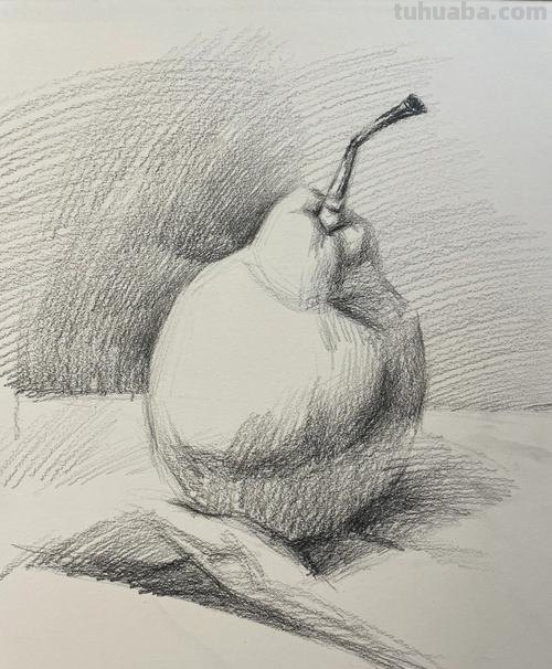 素描基础教程练习,教你画一个大鸭梨