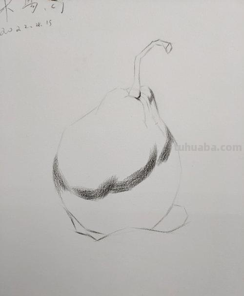 素描基础教程练习,教你画一个大鸭梨