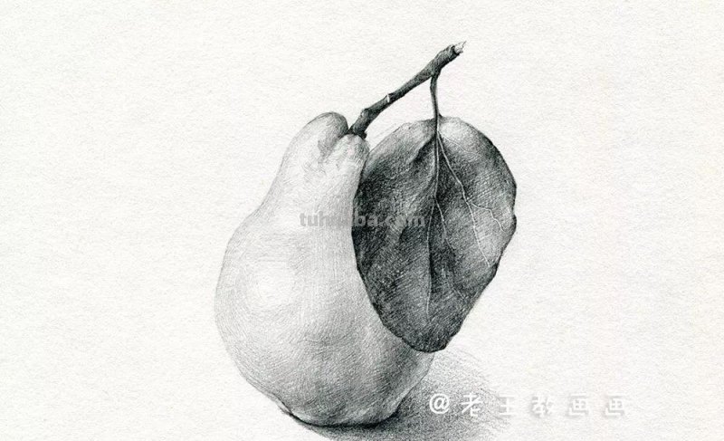 素描基础教程练习，教你画一个大鸭梨