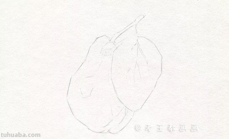 素描基础教程练习，教你画一个大鸭梨