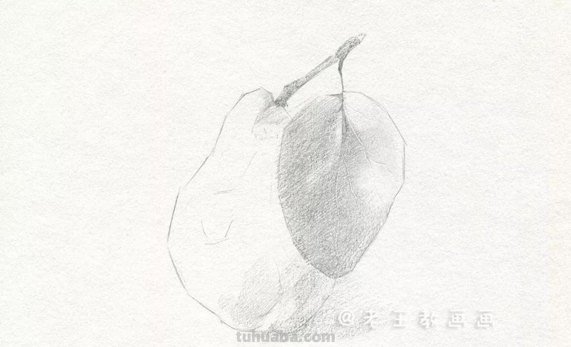 素描基础教程练习，教你画一个大鸭梨