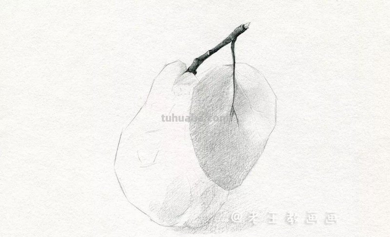 素描基础教程练习，教你画一个大鸭梨