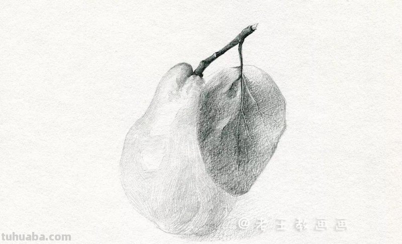 素描基础教程练习，教你画一个大鸭梨