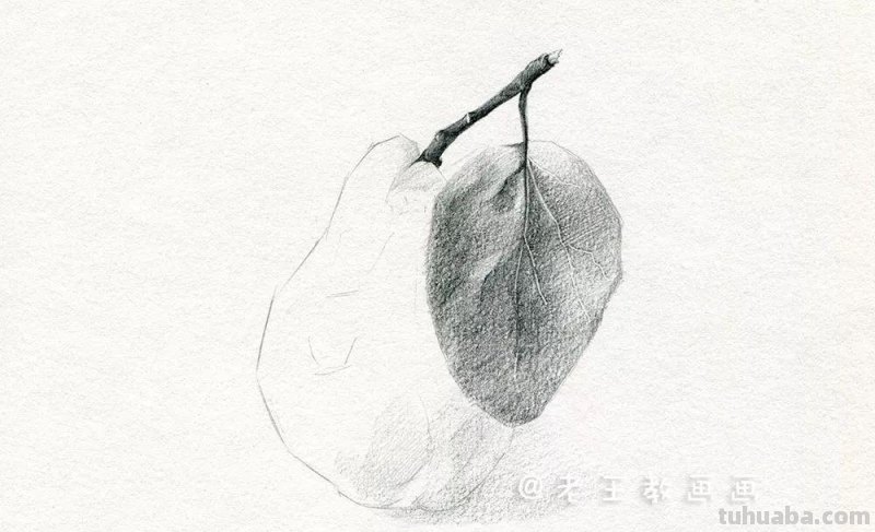 素描基础教程练习，教你画一个大鸭梨