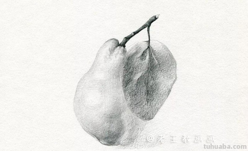 素描基础教程练习，教你画一个大鸭梨