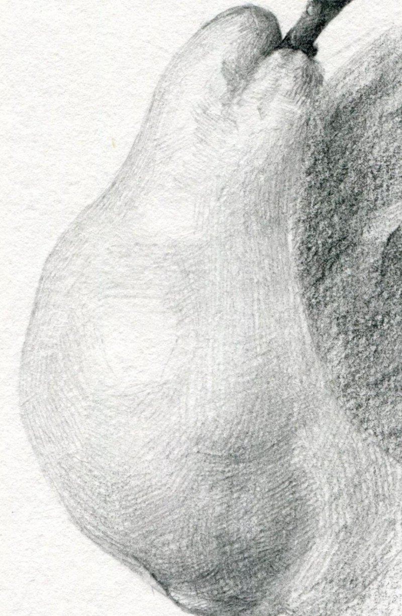 素描基础教程练习，教你画一个大鸭梨