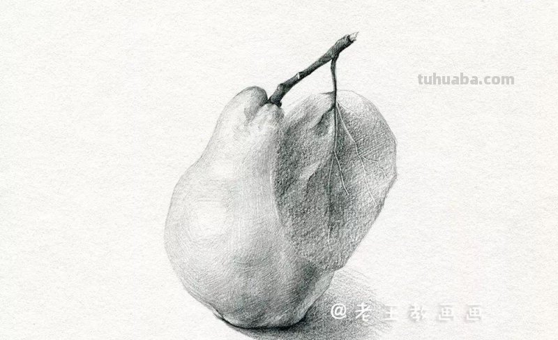 素描基础教程练习，教你画一个大鸭梨