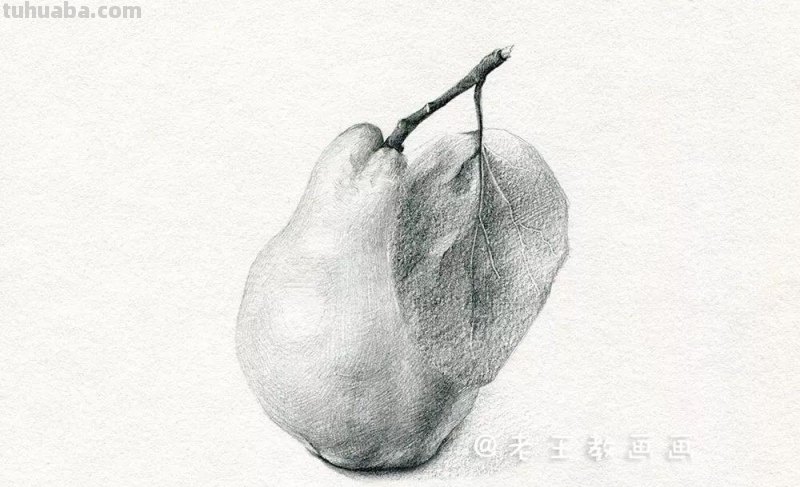素描基础教程练习，教你画一个大鸭梨
