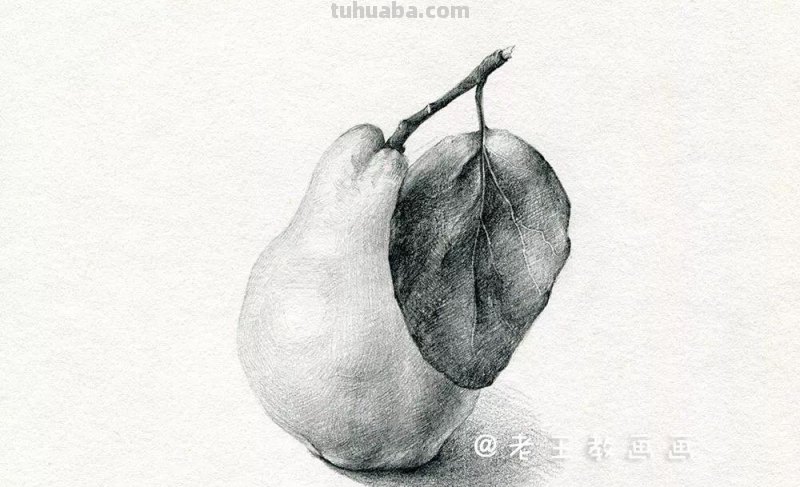 素描基础教程练习，教你画一个大鸭梨