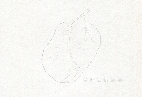 素描基础教程练习，教你画一个大鸭梨