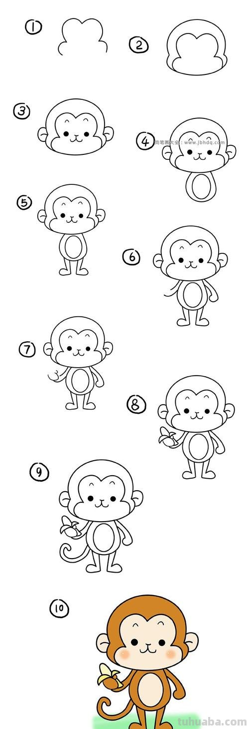 猴子简笔画教程 猴子简笔画教程视频
