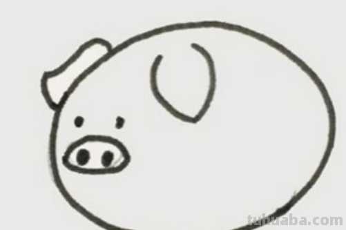 小猪怎么画简笔画