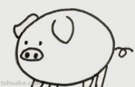 小猪怎么画简笔画