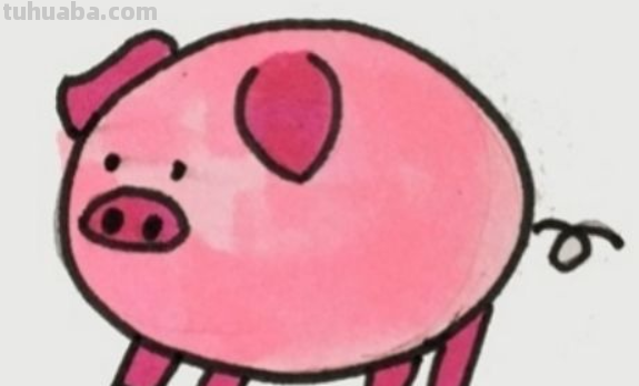 小猪怎么画简笔画