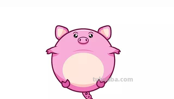 怎么画猪的简笔画