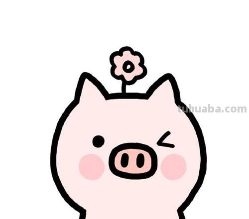 小猪头像简笔画 小猪头像简笔画图片 可爱