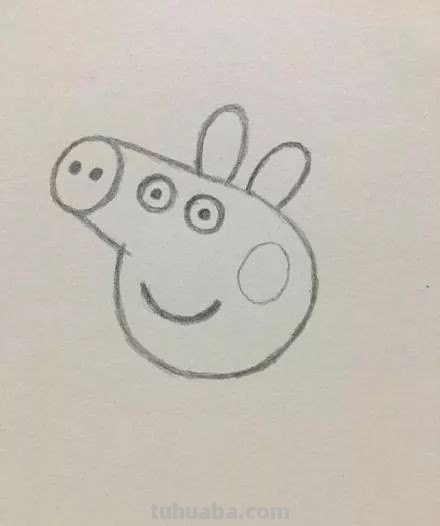 小猪简单画法