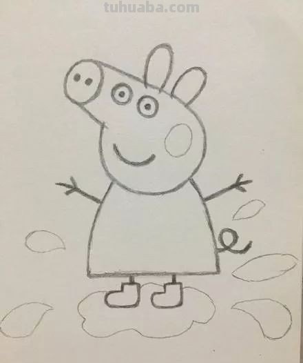 小猪简单画法