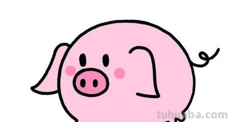 粉色小猪简笔画 粉红小猪怎么画简单又可爱