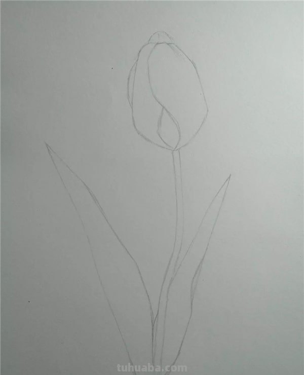 彩铅画怎么画眉毛 初一彩铅绘画教程? 彩铅画怎么画眉毛 初一彩铅绘画教程?