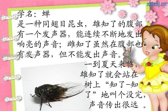 知了学飞告诉我们什么道理 知了学飞告诉我们什么道理?