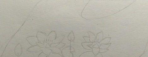 用彩铅怎么画荷塘 用彩铅画荷花怎么涂？