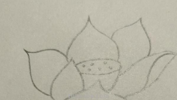 用彩铅怎么画荷塘 用彩铅画荷花怎么涂？